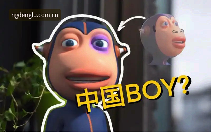 南宫NG注册平台与BOB体育直播推荐对比：上着稳NG平台赛事登录下载的真实差异